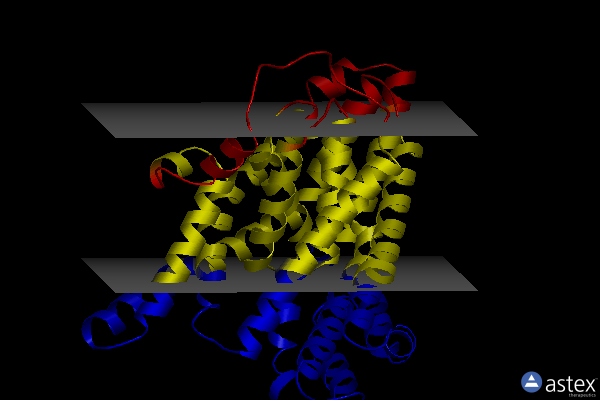 Membrane view of 6xwr