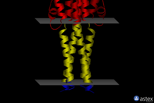 Membrane view of 6xyn