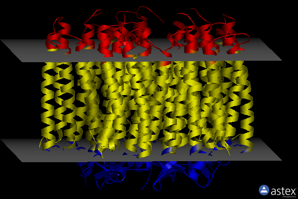 Membrane view of 6xyt