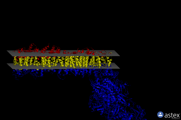 Membrane view of 6y11