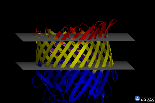 Membrane view of 6y47
