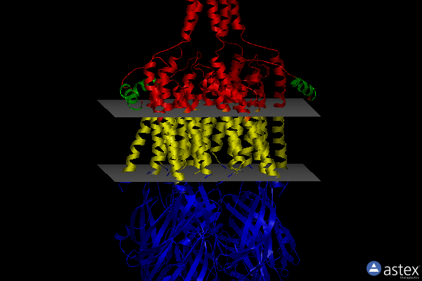 Membrane view of 6y5a