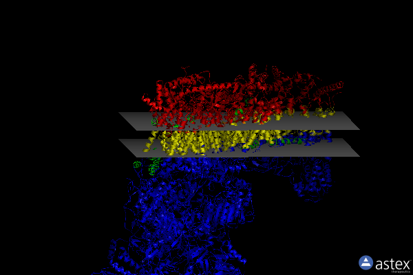 Membrane view of 6y79