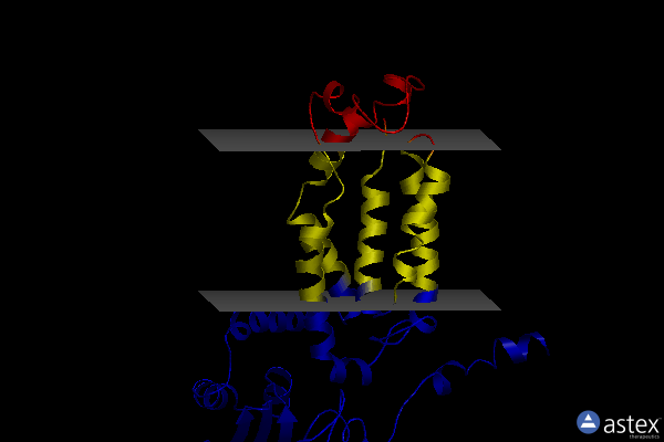 Membrane view of 6y86
