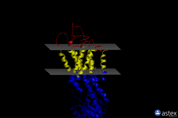 Membrane view of 6yaa