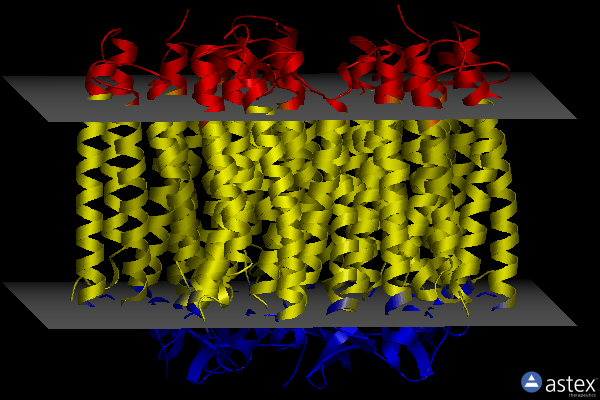 Membrane view of 6ybz