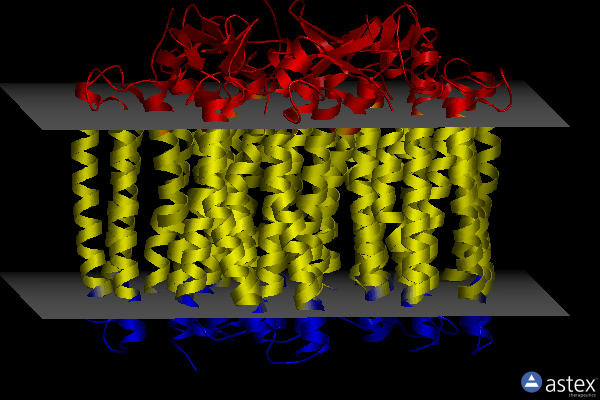 Membrane view of 6yc2