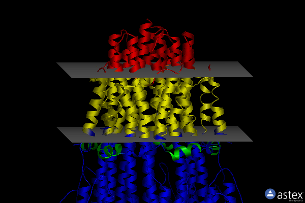 Membrane view of 6ykr