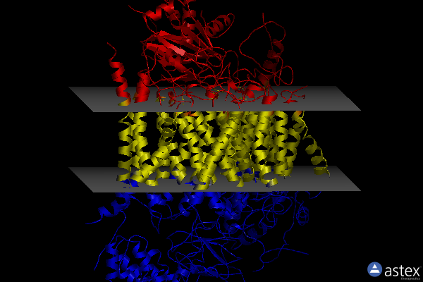 Membrane view of 6ymy