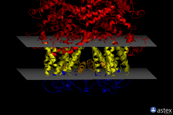 Membrane view of 6ysn