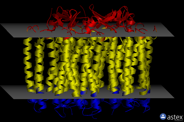 Membrane view of 6yt4