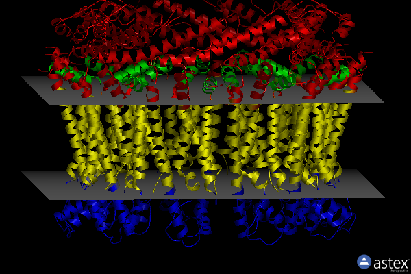 Membrane view of 6ytl