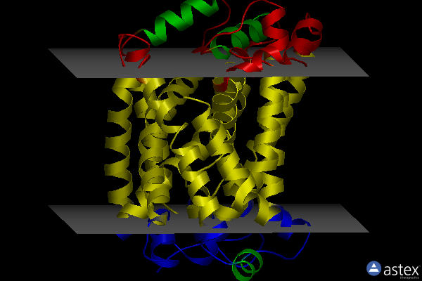 Membrane view of 6yu3