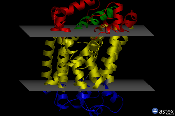 Membrane view of 6yu6