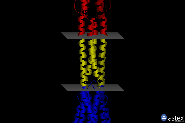 Membrane view of 6yue