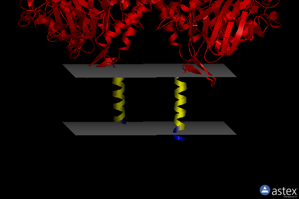 Membrane view of 6yuz
