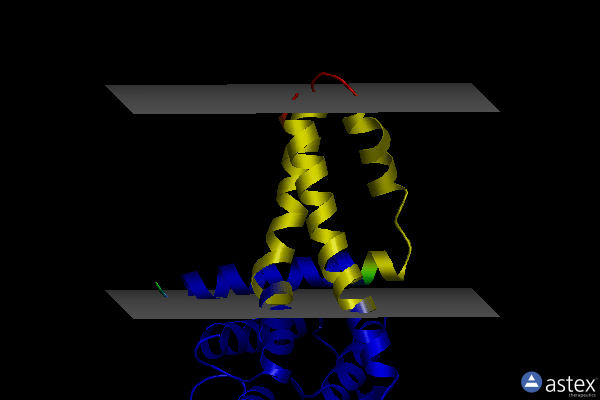 Membrane view of 6yv9