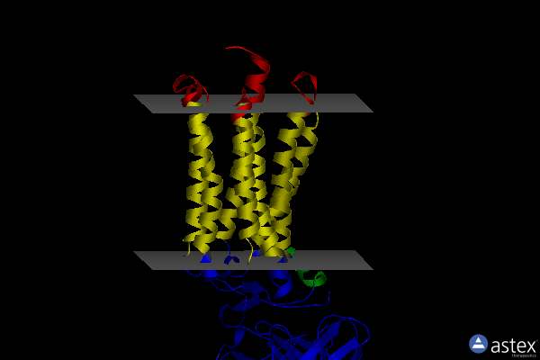 Membrane view of 6yxd