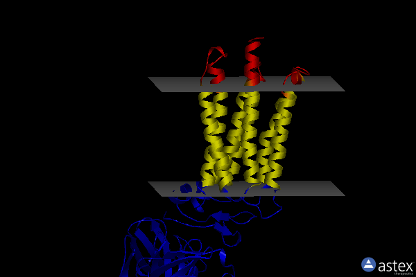 Membrane view of 6yxg
