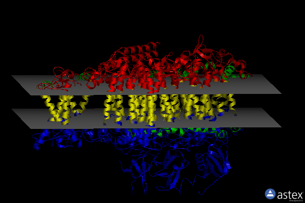 Membrane view of 6yxr