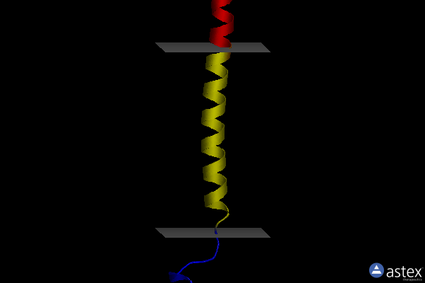 Membrane view of 6z0h