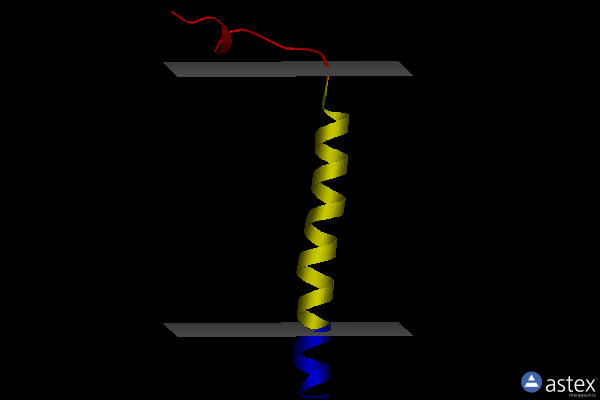Membrane view of 6z0i