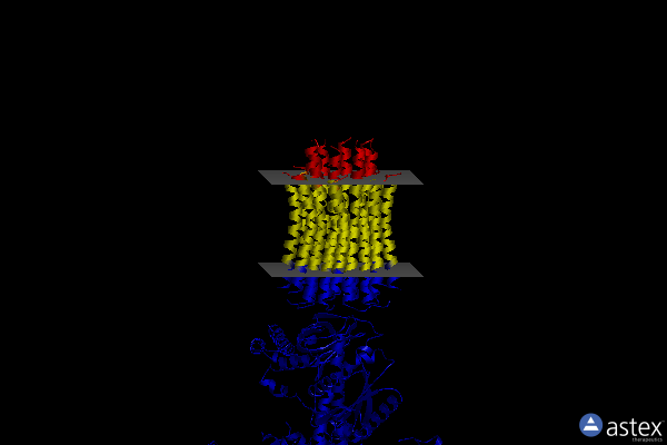 Membrane view of 6z1u