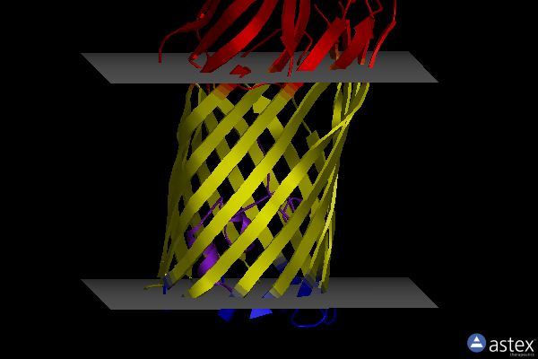 Membrane view of 6z38