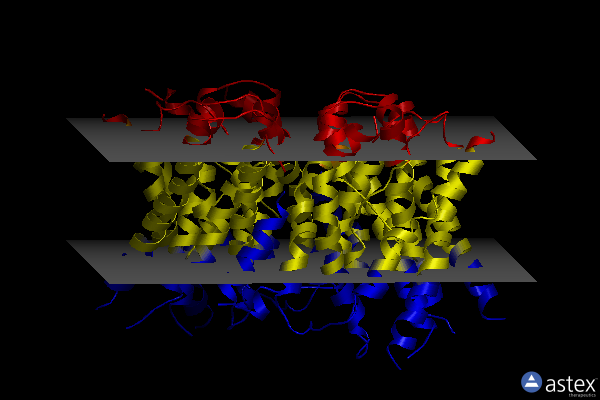 Membrane view of 6z3z