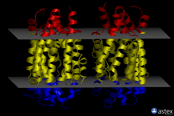 Membrane view of 6z71