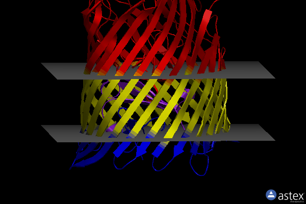 Membrane view of 6z8a