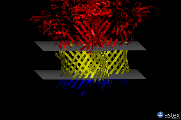 Membrane view of 6z8i