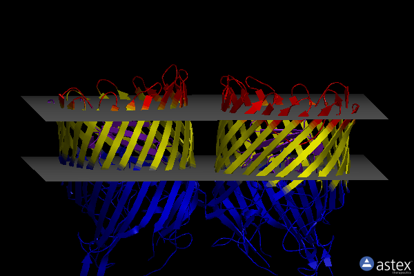 Membrane view of 6z8t