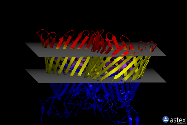 Membrane view of 6z8u