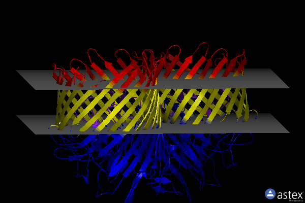 Membrane view of 6z8y