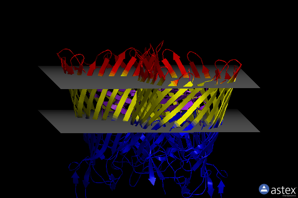 Membrane view of 6z99