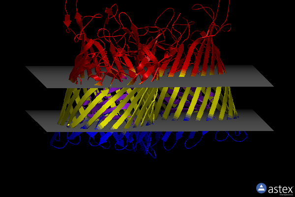 Membrane view of 6z9n