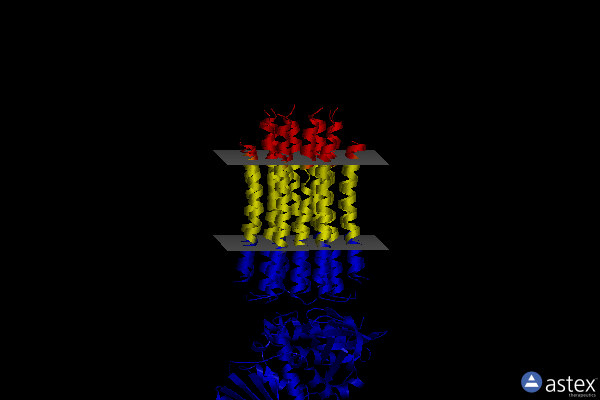 Membrane view of 6zg7