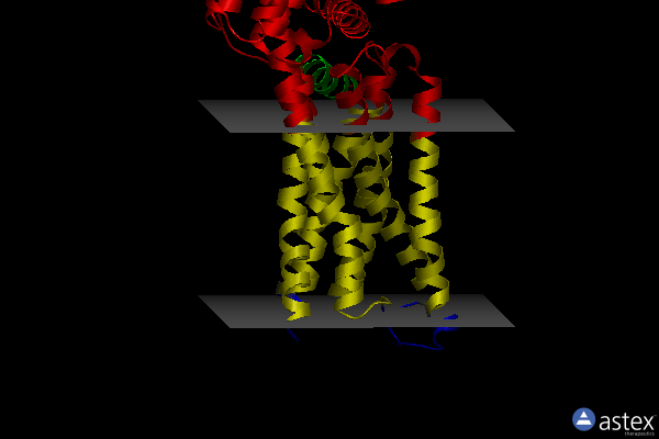 Membrane view of 6zg9