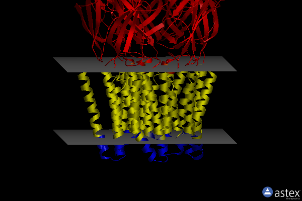 Membrane view of 6zgj