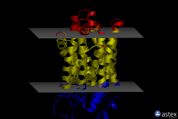 Membrane view of 6zgt