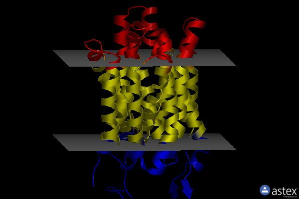 Membrane view of 6zgu