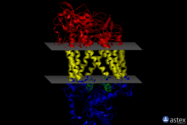 Membrane view of 6zhw