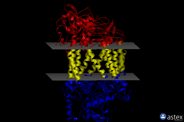 Membrane view of 6zi9