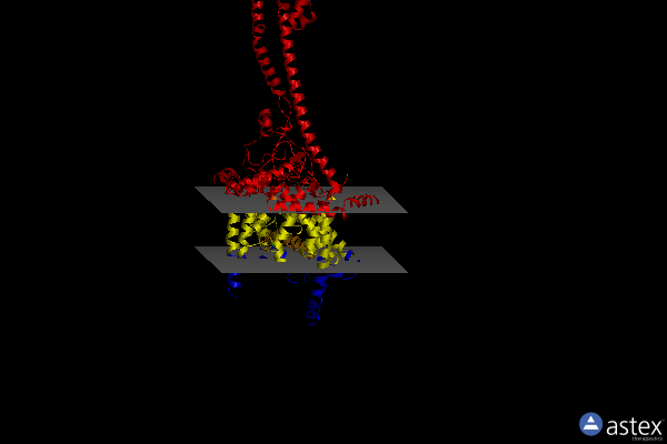 Membrane view of 6ziu