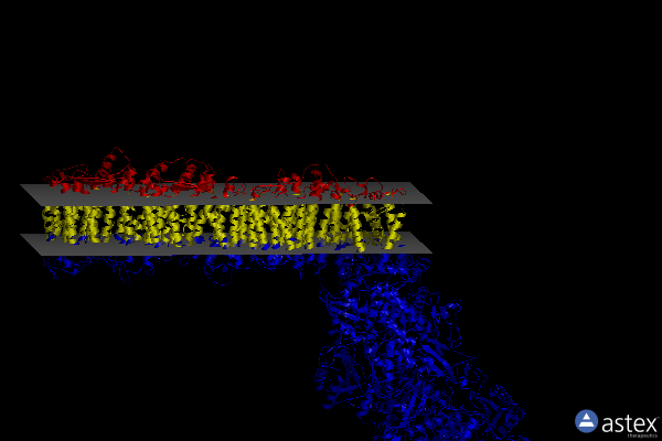 Membrane view of 6ziy