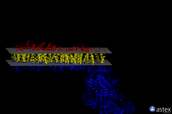 Membrane view of 6zjl