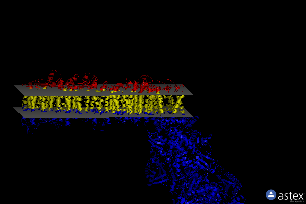 Membrane view of 6zjy