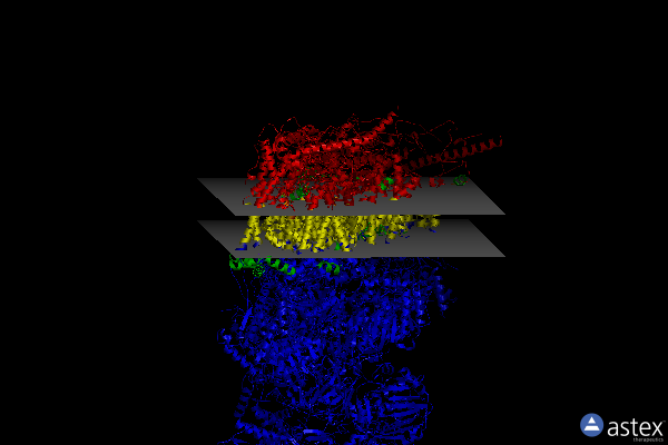 Membrane view of 6zkh