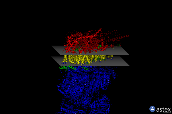 Membrane view of 6zkj